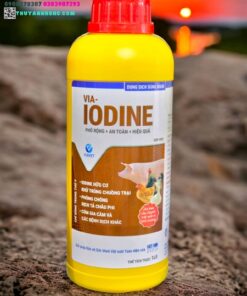 VIA IODINE 1 Lít - Chai