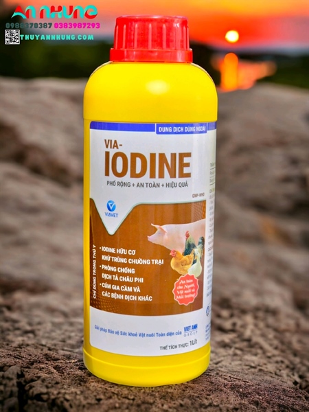 VIA IODINE 1 Lít - Chai