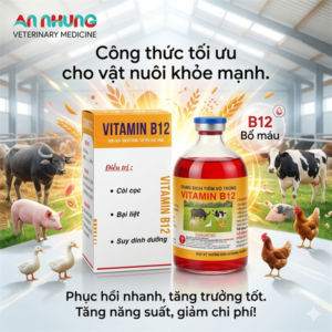 MINH HUY VITAMIN B12 - 100ml - Chai 100 ml