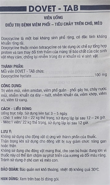 Á CHÂU DOVET TAB (viên) - Hộp 100 viên - Ảnh 3