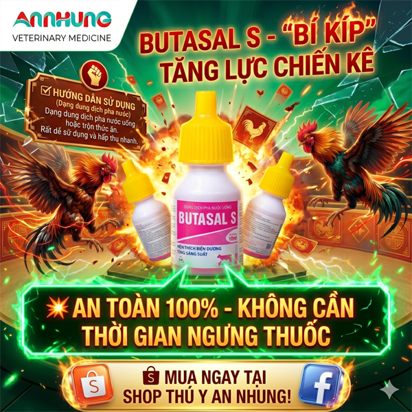 Sagopha Butasal S 10ml oral - Tăng lực gà đá - Lọ 10ml - Ảnh 4