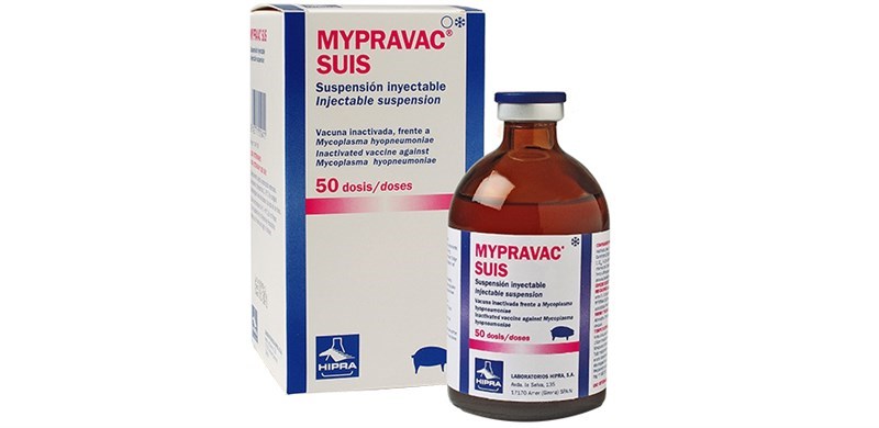 Vaccine Hipra Mypravac Suis - Lọ 10 liều - Ảnh 3