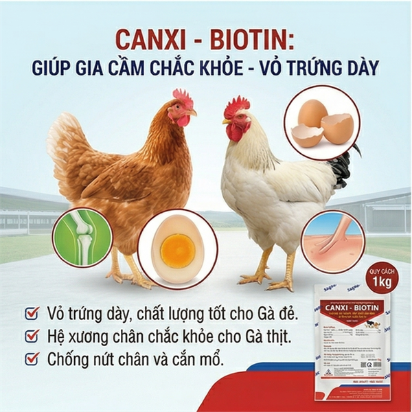 SAGOPHAR CANXI BIOTIN - Gói 1kg - Ảnh 5