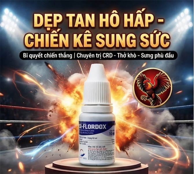 NPD Flordox Oral 10ml - Hen khẹc, Thương hàn, Tụ huyết trùng - Hộp 20 lọ