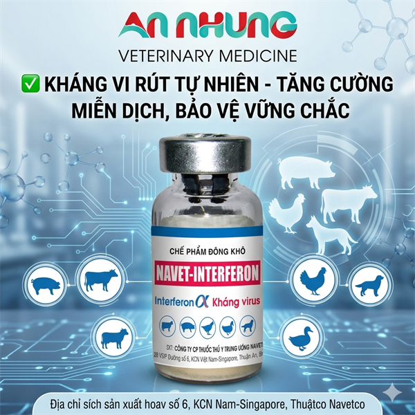 Navet Interferon - 1 Triệu UI - LỌ 1 Triệu UI - Ảnh 4