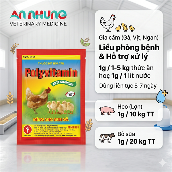 Minh Huy Polyvitamin - Anti gumboro ( Gà) - gói 100g - Ảnh 2