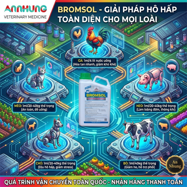 SAGOPHAR BROMSOL 1 Lít - CHAI 1 lít - Ảnh 5
