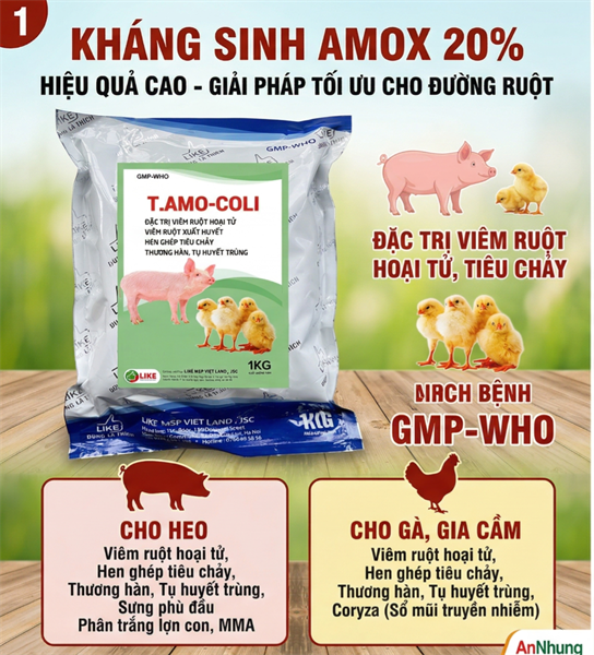 LIKE T. AMO COLI 1kg - AMOX 20% - Gói 10in1 - Ảnh 5