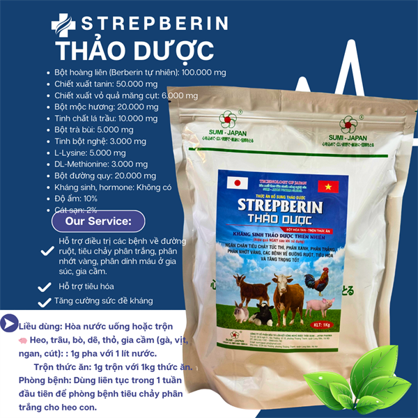 SUMI STREPBERIN THẢO DƯỢC 1kg - Berberin đắc trị tiêu chảy - Gói 10in1 - Ảnh 2
