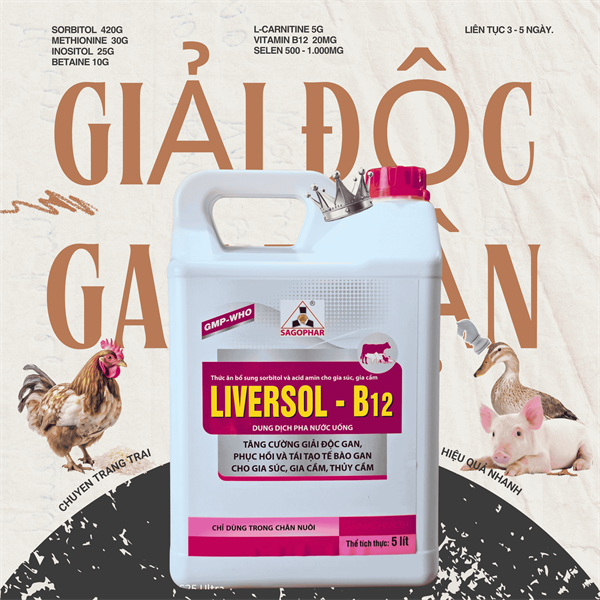 SAGOPHAR LIVERSOL B12 5 Lít - Can - Ảnh 2