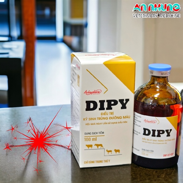 Á CHÂU DIPY - Ký sinh trùng đường máu, Sán Lá Gan 100ml - Lọ - Ảnh 4