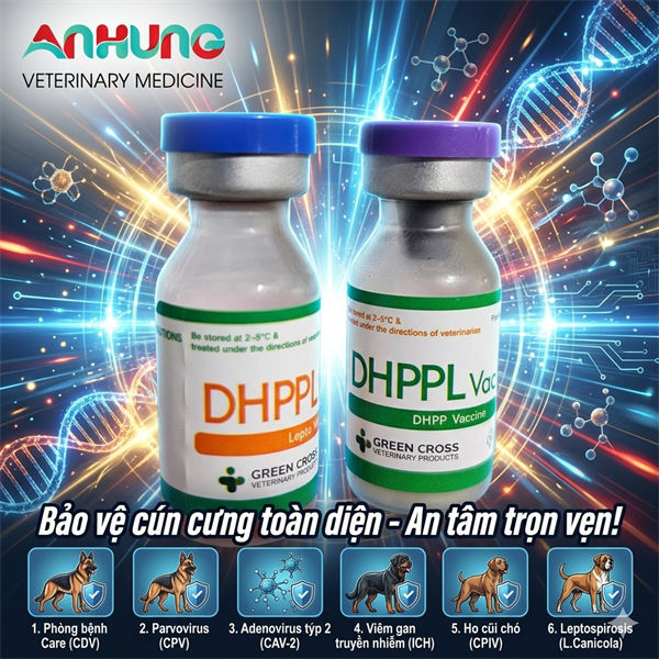 Vaccine Tigervet DHPPL - 6 bệnh Chó - Cặp