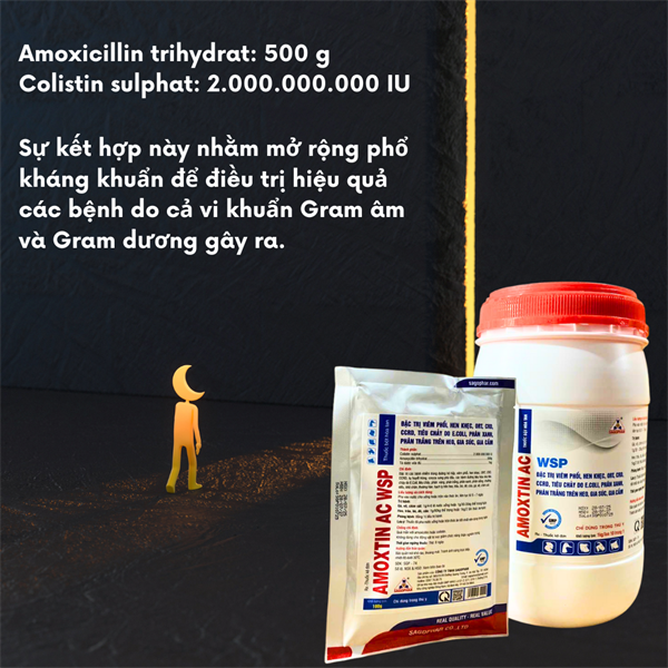 SAGOPHAR AMOXTIN 50% AC WSP XANH - 1kg - Amox Colis (N) - Lon 10in1 - Ảnh 4