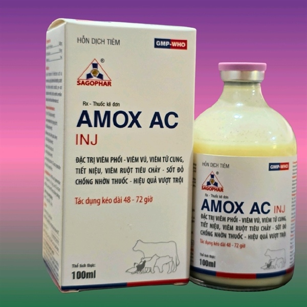 SAGOPHAR AMOX AC (Axit clavulanic - Chống lờn thuốc) - TRẮNG (N) - CHAI 100ML - Ảnh 2