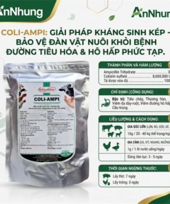 Á Châu COLI AMPI - Gói 1kg (10in1)