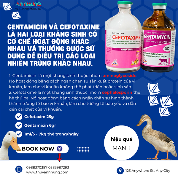 SAGOPHAR - CEFOTAXIM + GENTAMYCIN - Cặp tiêm Vịt Gà - Cặp 250ml - Ảnh 5