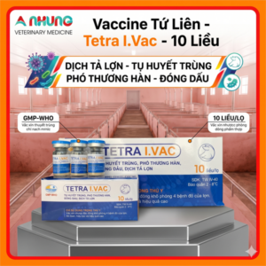 Vaccine Tứ Liên - Tetra I.Vac 10 Liều - Lọ