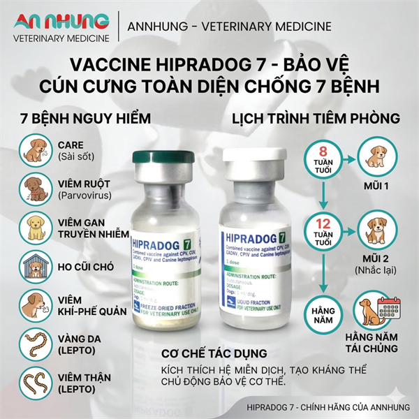 Vaccine Hipra Dog - 7 bệnh Chó - Liều - Ảnh 2