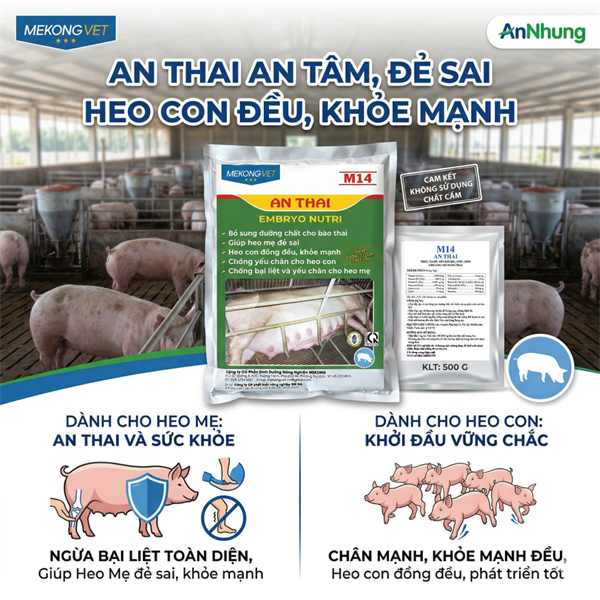 Mekong M14 An Thai 500g - Gói - Ảnh 5