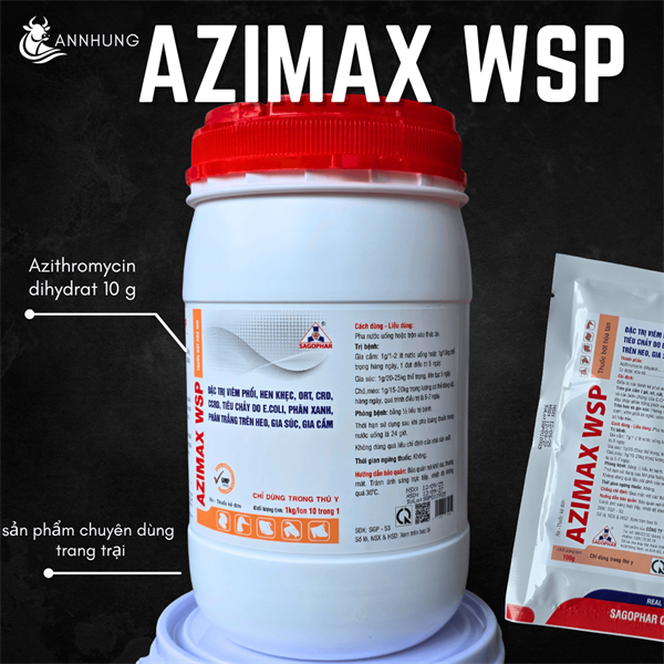 SAGOPHAR AZIMAX WSP (AZITHROMYCIN) 1 Kg - Lon 10in1