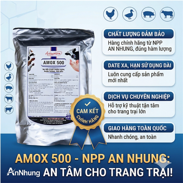 Á CHÂU AMOX 500 - 1kg - Gói 10in1 - Ảnh 5