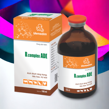 VMD ADE BCOMPLEX 100ml - Lọ - Ảnh 3