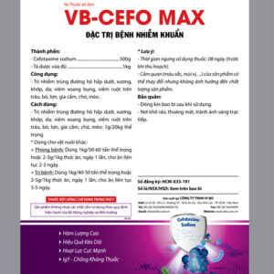 VIBO CEFO MAX 1 KG - CEFOTAXIM SODIUM 50% - Gói