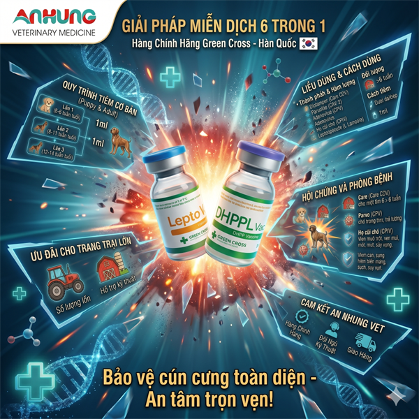 Vaccine Tigervet DHPPL - 6 bệnh Chó - Cặp - Ảnh 2