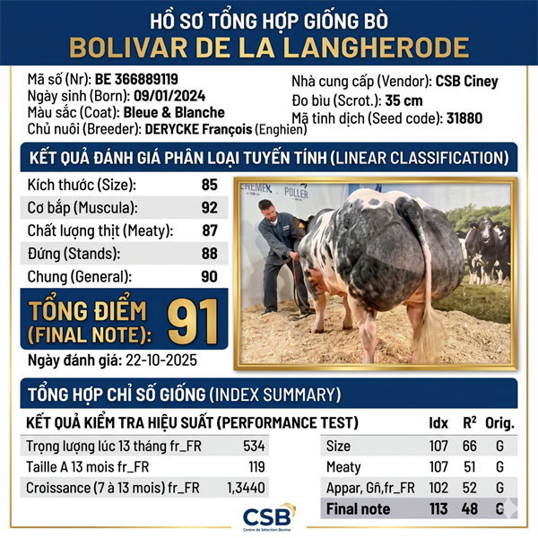 BBB BOLIVAR DE LA LANGHERODE - BE 366889119 - 91 Point - liều - Ảnh 4