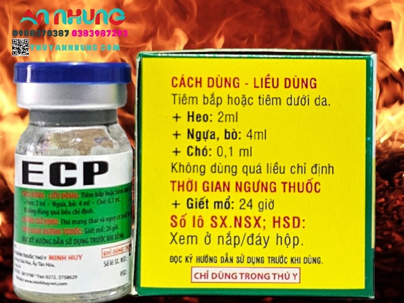 Minh Huy ECP (Estradiol) 4ml - Hộp 10 lọ - Ảnh 4