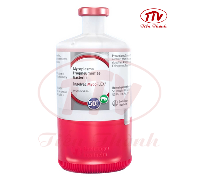Vaccine Boehringer MYCO - Lọ 50 liều - Ảnh 3