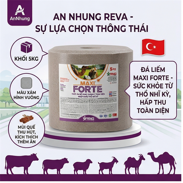 Đá liếm FORTE MAXIFORTE BLOCK ( đá quế vuông nâu)- viên 5kg - Thổ Nhĩ Kỳ