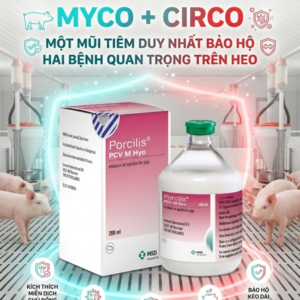 Vaccine Porcilis® PCV M Hyo ( MYCO + CIRCO) - 50 Liều - Lọ