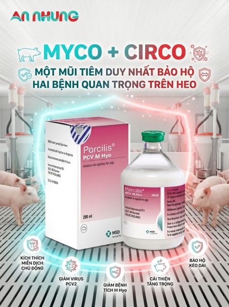 Vaccine Porcilis® PCV M Hyo ( MYCO + CIRCO) - 50 Liều - Lọ