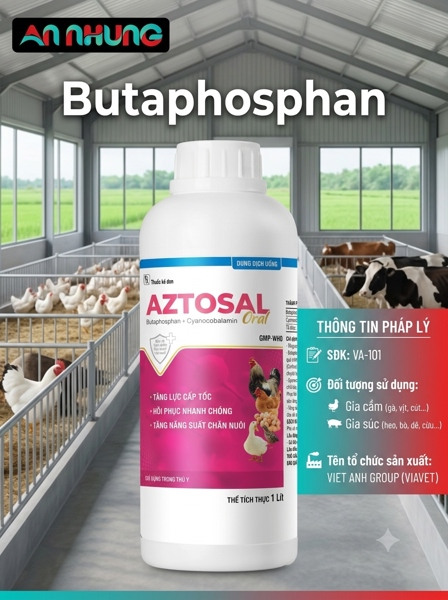 VIA AZTOSAL ORAL 1 Lít - CHAI 1 lít