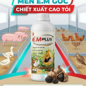 Alternative view of VIBO E.M PLUS - Men vi sinh đường ruột thế hệ mới - 1 lit - Chai 1 Lít