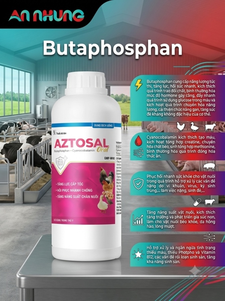 VIA AZTOSAL ORAL 1 Lít - CHAI 1 lít - Ảnh 3
