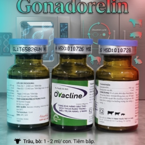 Á châu Ovacline 10ml - lên giống, rối loạn sinh sản - Lọ 10ml