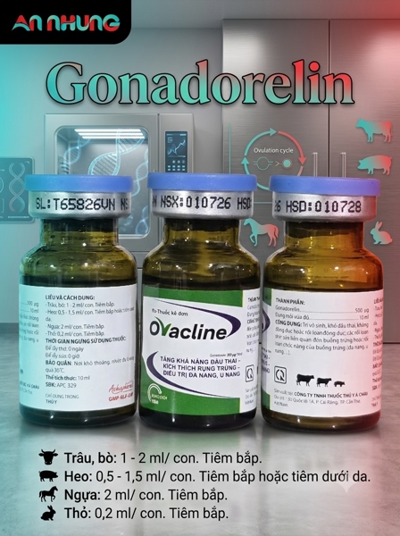 Á châu Ovacline 10ml - lên giống, rối loạn sinh sản - Lọ 10ml