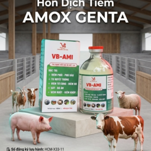 Alternative view of VB AMI (AMOX_GENTA_KETOPROFEN) INJ - Chai 100 ml