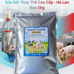 KNZ LACTO COMBI - SỮA MẸ (Sữa thay thế) (BAO)- 5KG 🍼🐷 - Bao 5kg