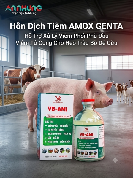 VB AMI (AMOX_GENTA_KETOPROFEN) INJ - Chai 100 ml - Ảnh 5