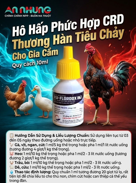 NPD Flordox Oral 10ml - Hen khẹc, Thương hàn, Tụ huyết trùng - Hộp 10 lọ - Ảnh 3