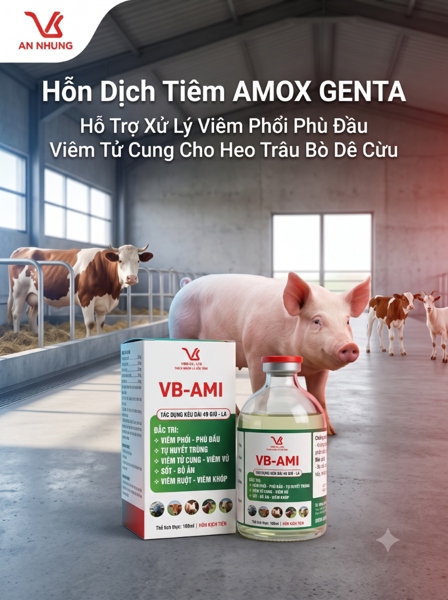 VB AMI (AMOX_GENTA_KETOPROFEN) INJ - Chai 100 ml - Ảnh 4