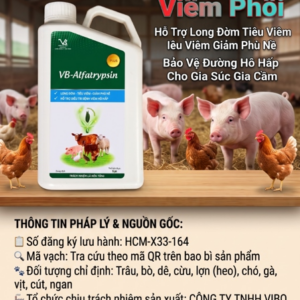 VB ALFATRYPSIN ORAL_PLUS_1 Lít - CHAI 1 lít