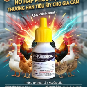 NPD Flordox Oral 10ml - Hen khẹc, Thương hàn, Tụ huyết trùng - Hộp 10 lọ