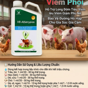 Alternative view of VB ALFATRYPSIN ORAL_PLUS_1 Lít - CHAI 1 lít