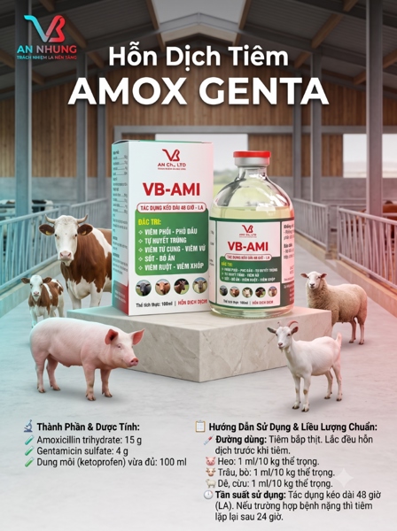 VB AMI (AMOX_GENTA_KETOPROFEN) INJ - Chai 100 ml - Ảnh 3