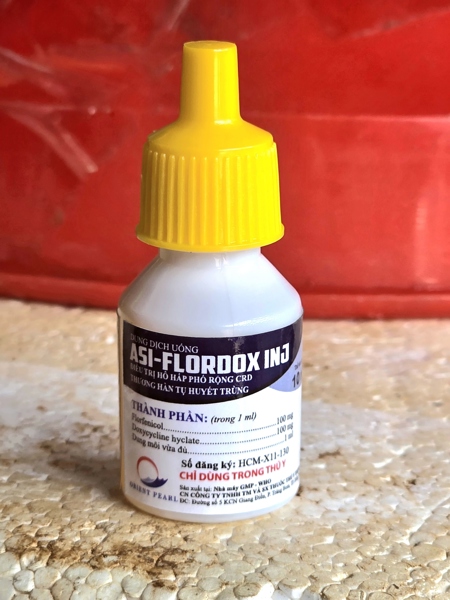 NPD Flordox Oral 10ml - Hen khẹc, Thương hàn, Tụ huyết trùng - Hộp 10 lọ - Ảnh 2