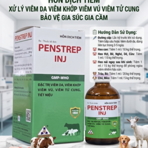 Alternative view of SAGOPHAR PENSTREP INJ 100ML - Chai
